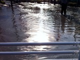 20110311_東日本巨大地震_浦安_道路_255943947T