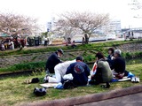 20110416_船橋市_海老川_サクラ_桜_1453_DSC07944