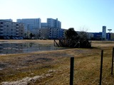 20110313_東日本大震災_南船橋駅前_液状化_企業庁_1433_DSC00363