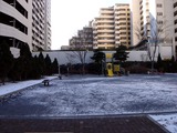 20110116_船橋市_積雪_雪化粧_寒気_冬型_1017_DSC02421