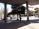 20110319_東日本大震災_海浜幕張駅_破損_1451_DSC07943