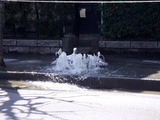 20110313_東日本大震災_海浜香澄団地_水道_下水_逆流_1152_DSC09633