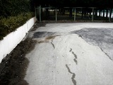 20110316_東日本大震災_若松団地_液状化_1125_DSC06892