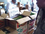 20110604_船橋中央卸売市場_ふなばし楽市_0859_DSC02814