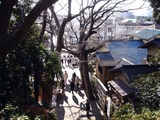 20110102_千葉市花見川区_検見川神社_初詣_1328_DSC09606