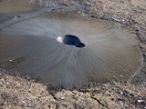 20110312_東日本大震災_東京湾岸事務所跡地_液状化_1614_DSC08813