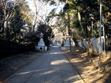 20110203_船橋市西船1_山野浅間神社_節分_豆まき_1600_DSC04890