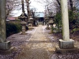 20100410_市川市曽谷2_春日神社_桜_1243_DSC01202