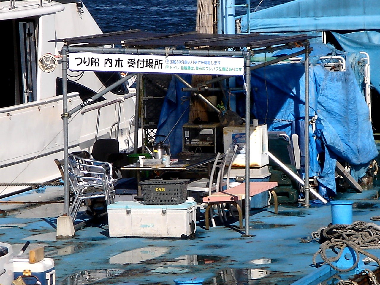 自然豊かな船橋 船橋市高瀬町桟橋のつり船内木 1 ビビット11part1
