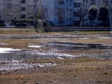 20110313_東日本大震災_南船橋駅前_液状化_企業庁_1433_DSC00359
