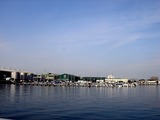 20110129_船橋漁港_農水産物生産者直売_朝市_0946_DSC03753