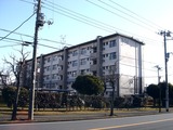 20110109_習志野市袖ヶ浦3_西近郊公園_どんど焼き_0909_DSC00434