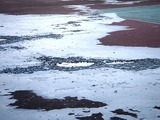 20110312_東日本巨大地震_若松公園テニス_液状化_1658_DSC09082