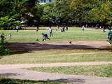 20110424_船橋市行田_千葉県立行田公園_芝生広場_1332_DSC08845