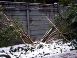 20110215_首都圏_関東地方_JR南船橋_大雪_0734_DSC06440
