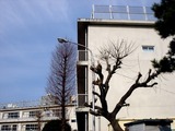 20110129_船橋市本町4_船橋市立船橋小学校_1117_DSC04142