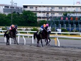 20110505_船橋市若松_船橋競馬場_第23回かしわ記念_フリオーソ_022