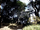 20110102_習志野市鷺沼_八剱神社_八剣神社_初詣_1231_DSC09457