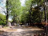 20110424_船橋市行田_千葉県立行田公園_芝生広場_1329_DSC08839