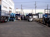 20110129_船橋漁港_農水産物生産者直売_朝市_1000_DSC03823