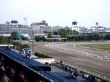 20110505_船橋市若松_船橋競馬場_第21回かしわ記念_1449_DSC00782