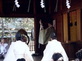 20110203_船橋市宮本_船橋大神宮_節分_豆まき_1215_DSC04572