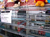 20110313_東日本大震災_コンビニ_セブンイレブン_1100_DSC09366