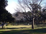 20110102_千葉市稲毛区稲毛1_稲毛浅間神社_初詣_1353_DSC09686