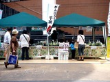 20110430_ららぽーとTOKYO-BAY_産地応援野菜即売会_1305_DSC08694