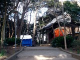 20110102_習志野市鷺沼_八剱神社_八剣神社_初詣_1227_DSC09433