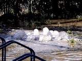 20110313_東日本大震災_海浜香澄団地_水道_下水_逆流_1153_DSC09636T