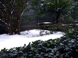 20110215_首都圏_関東地方_JR南船橋_大雪_0734_DSC06444