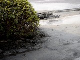 20110312_東日本巨大地震_船橋オート_液状化_1618_DSC08830