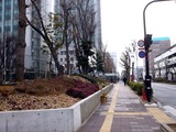 20110115_習志野市_千葉工業大学_センター試験_1123_DSC02037