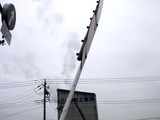20110402_東日本大震災_船橋三番瀬海浜公園_閉鎖_1038_DSC00157