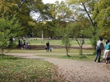 20110424_船橋市行田_千葉県立行田公園_芝生広場_1332_DSC08842