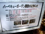 20110424_船橋市行田_千葉県立行田公園_芝生広場_1331_DSC08840