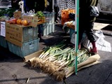 20110129_船橋漁港_農水産物生産者直売_朝市_1002_DSC03828