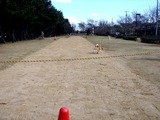 20110327_東日本大震災_習志野市袖ヶ浦_袖ヶ浦東近隣公園_被害_震災_1414_DSC09434