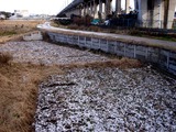 20110116_船橋市_積雪_雪化粧_寒気_冬型_1323_DSC02956