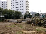 20110402_船橋市日の出1_船橋市立湊中学校_被害_1137_DSC00392