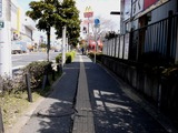 20110316_東日本大震災_船橋競馬場前_道路歪み_1047_DSC06815