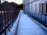 20110116_船橋市_積雪_雪化粧_寒気_冬型_1108_DSC02549