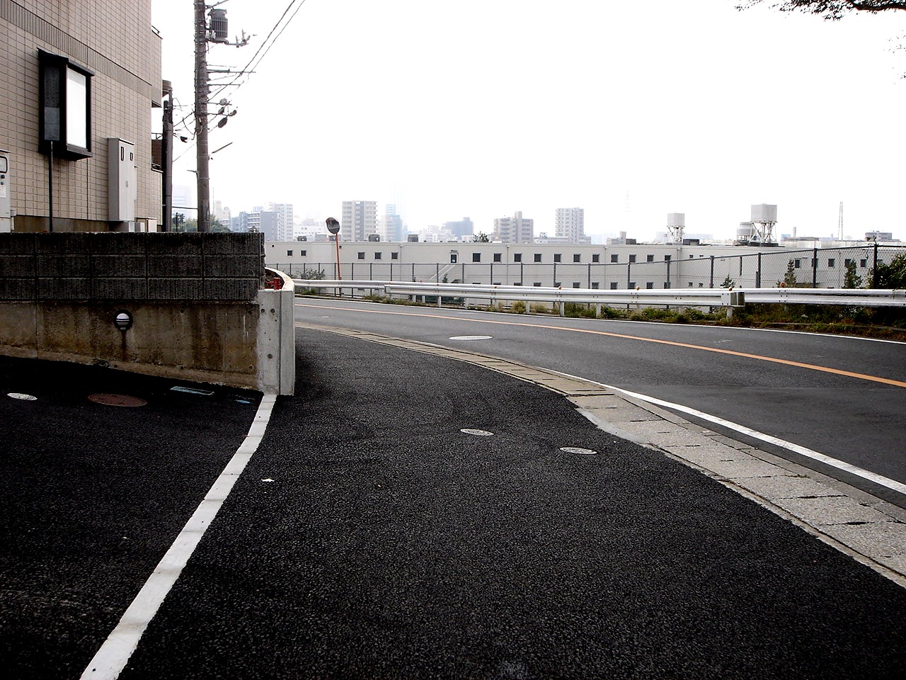 ビビット2011Part2                vivit2011p2