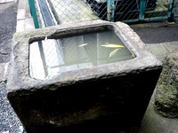 20110811_福島県郡山市_郡山駅西口前_放射線量_112106_DSC00620