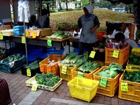 20111103_習志野市泉町1_日本大学生産工学部_桜泉祭_1348_DSC09402