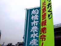 20111105_船橋市本町_船橋駅北口_船橋市農水産祭り_1157_DSC09965