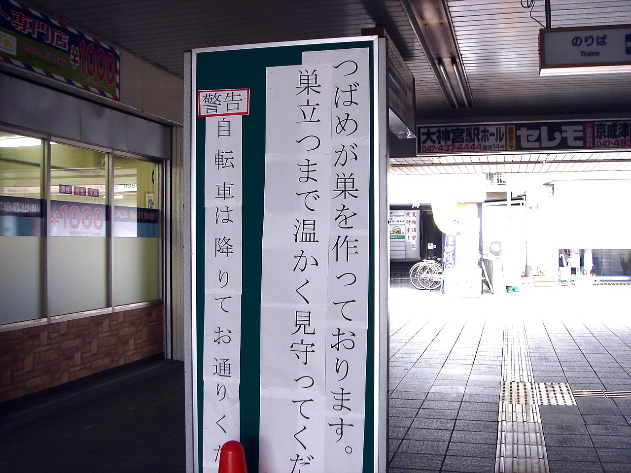 ビビット2011Part2                vivit2011p2
