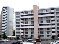 20110730_船橋市立芝山中学校_芝山団地祭り_盆踊り_1109_DSC09571