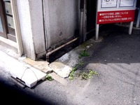 20110811_福島県郡山市_郡山駅西口前_放射線量_110736_DSC00581